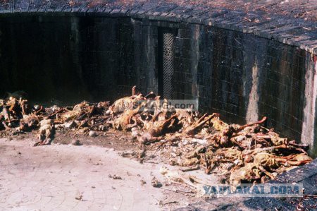 Путешествие по Ирану