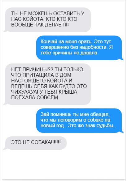 Как жена нашла койота