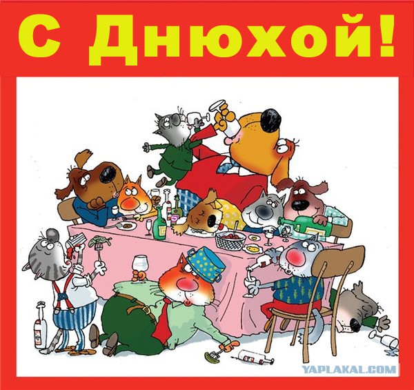 этому открытка после гулянки дня рождения с приколом величественную ледяную долину