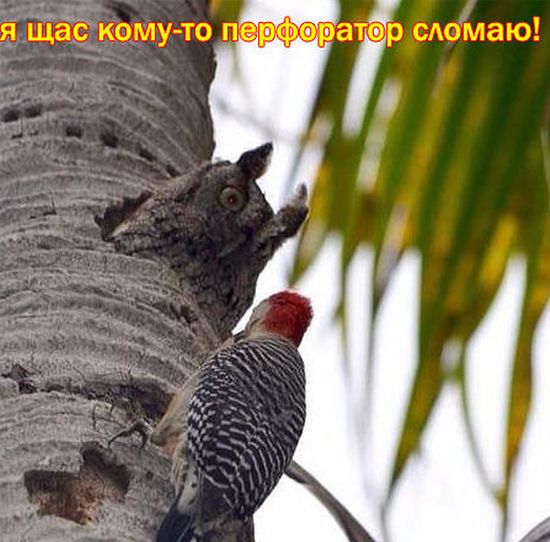 Подборка интересных и веселых картинок