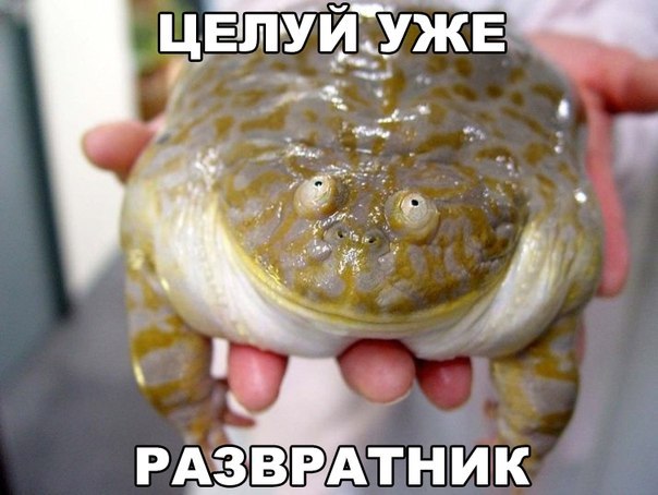 Прикольные картинки 03.06.2017