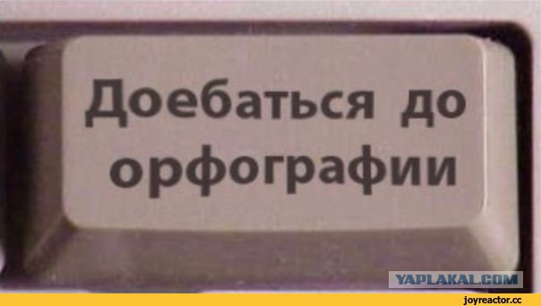 Как я сэкономил на цветах и походах в кафе и кино