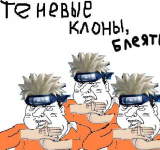 Итоги проверки пользователей