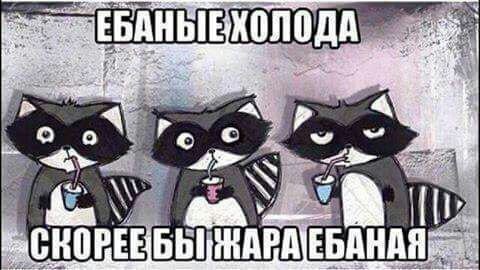Прикольные картинки абавсём