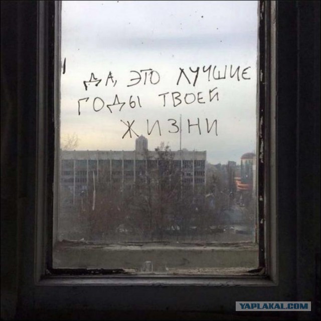 «Бродячие» философы: 17 глубокомысленных заметок в транспорте и на улицах
