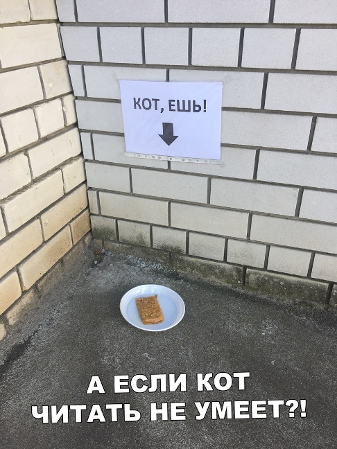 Картинки с надписями, истории и анекдоты 13.09.19