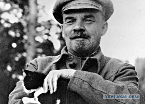 Эквадор: Улицы пахнут насилием