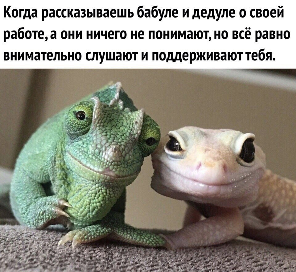 13558866.jpg