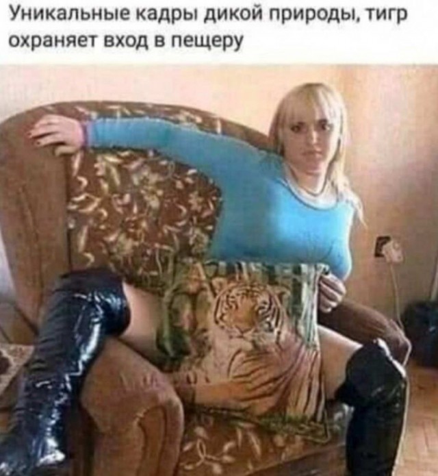 Прикольные картинки