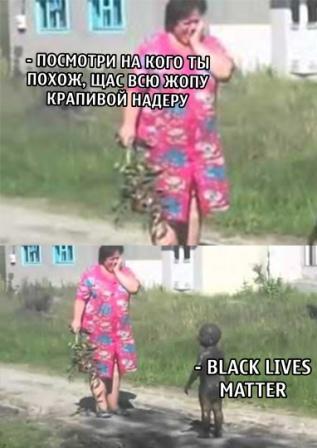 Так себе картинки 01.07.20