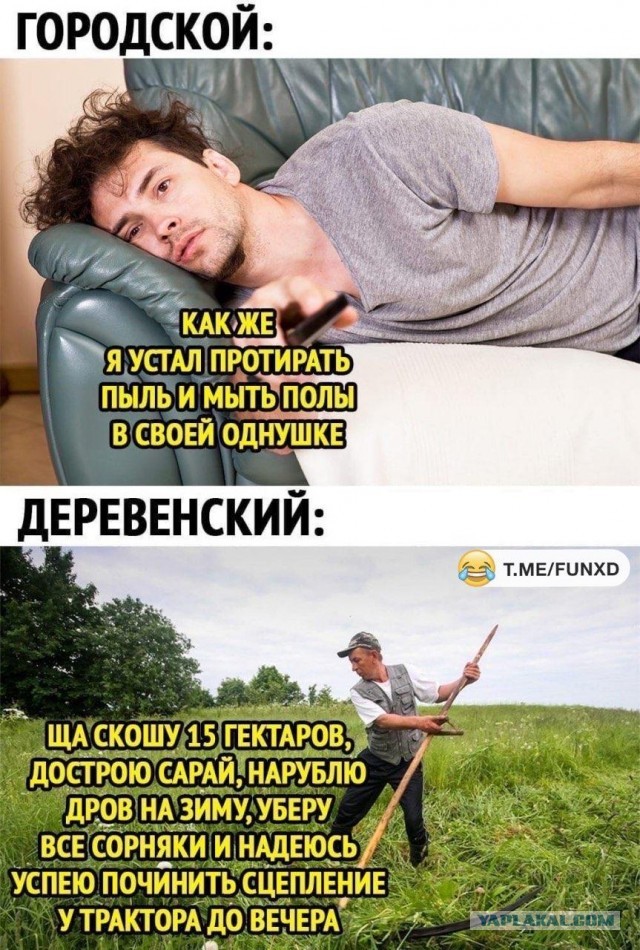 Веселые истории о нас 157