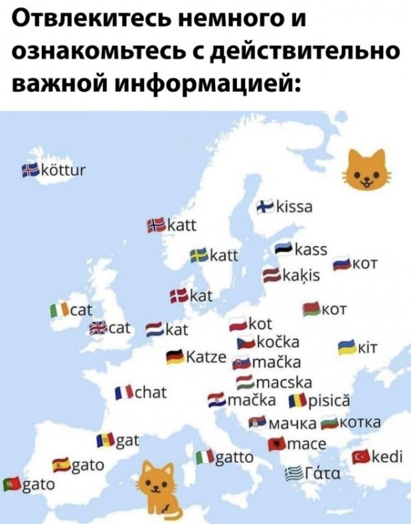 Прикольные и просто красивые картинки 10.11.2020