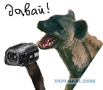 Смешной прыжок на пляже