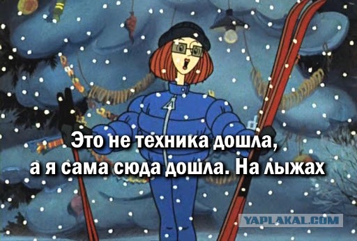 Авточехол