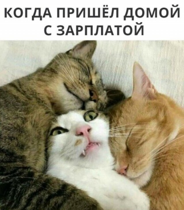 Так себе картинки 13.04.22