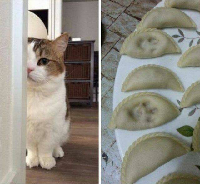 Картинки и мемы, выходные продолжаются