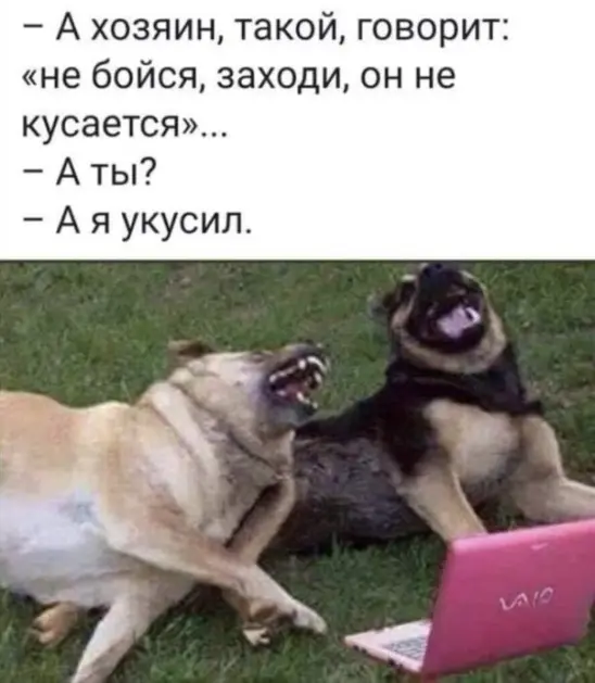 Весёлый полтишок 08.05.23