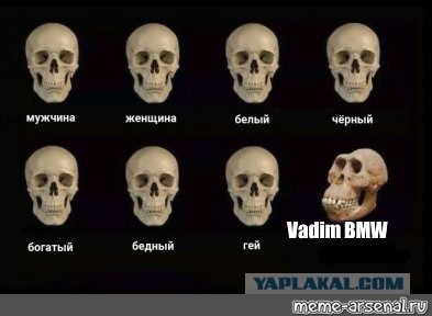 ВОРа не пропустили