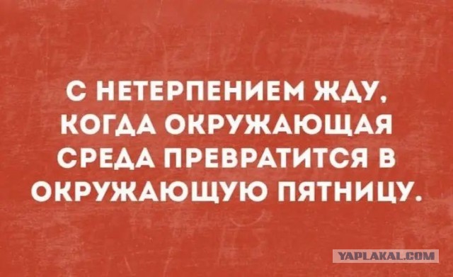 Веселые картинки к маленькой пятнице (17.07)