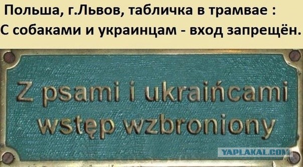 В ответ на «Стоило ли начинать СВО?»⁠⁠