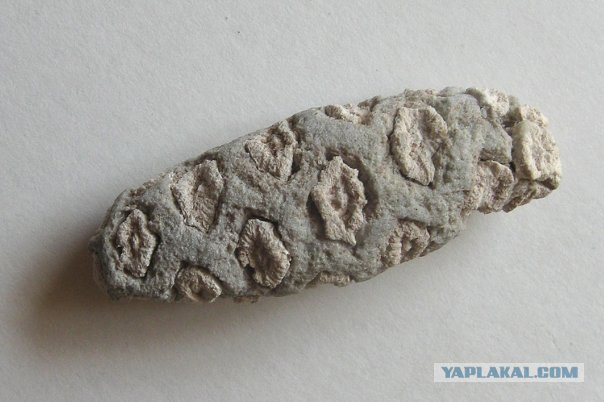 История мира у нас под ногами