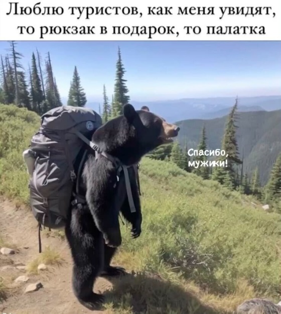 Так себе картинки 15.02.25