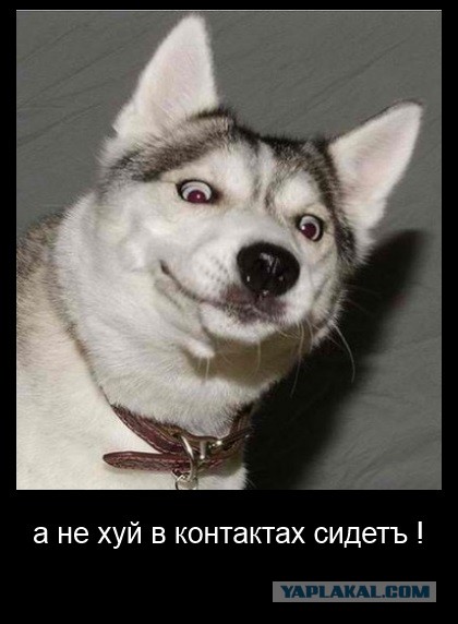 Смешные картинки про удаление музыки из ВК