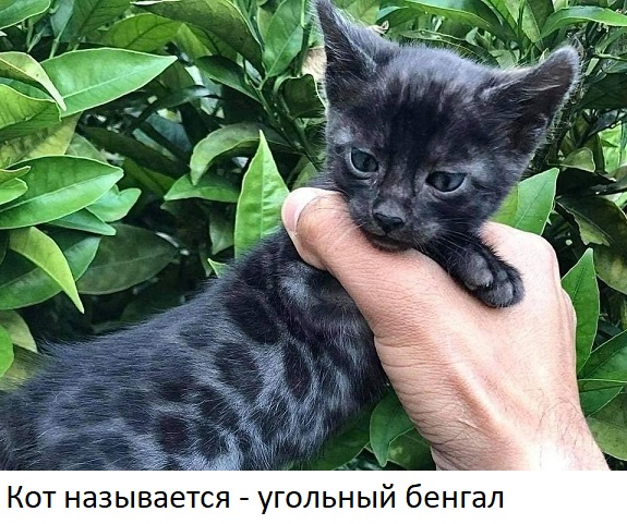 Дочь на тебя жалуется...