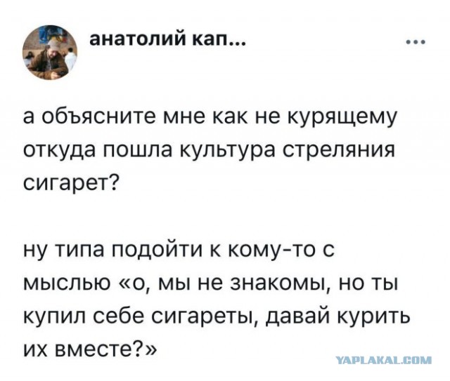 Веселые картинки в пятницу (23.05)