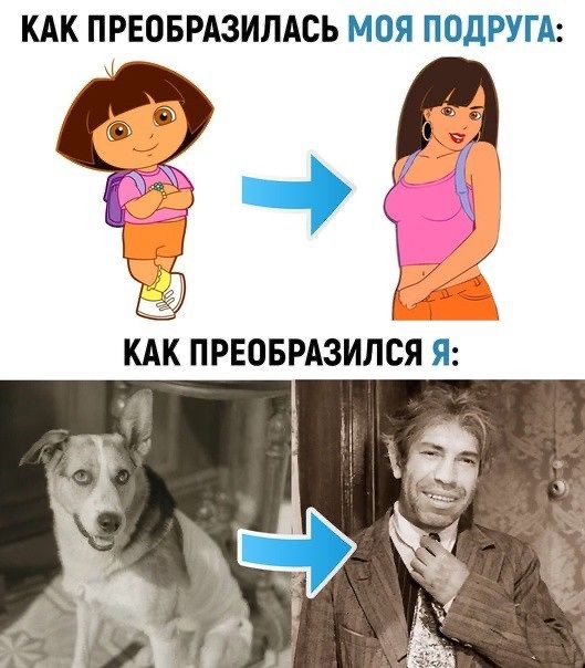 Веселое настроение в картинках (11.08.2025)