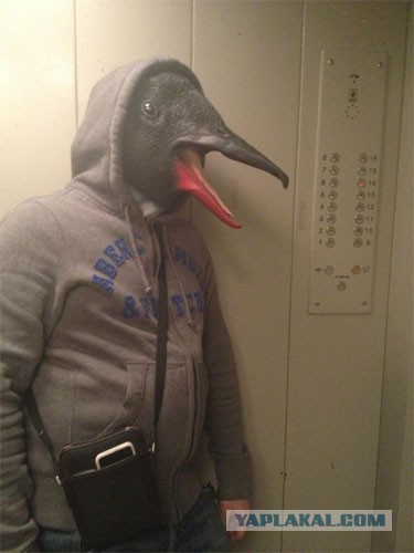 Захожу я значит в лифт.. а там