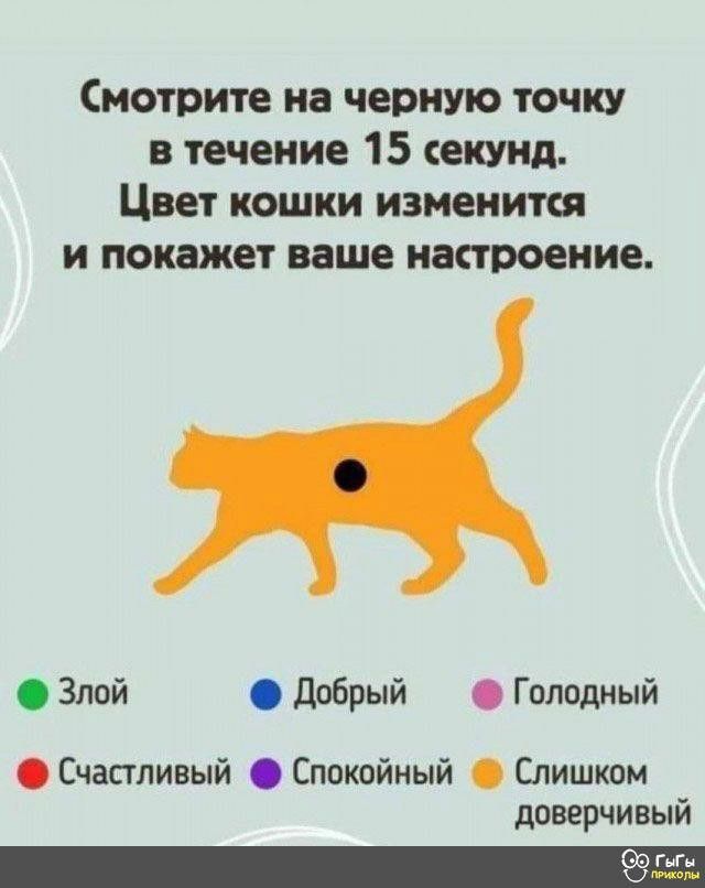Куча мала 6