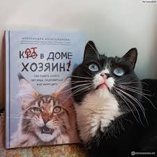 Кто в доме хозяин
