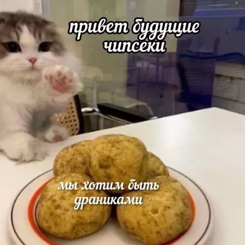 Котямбосы