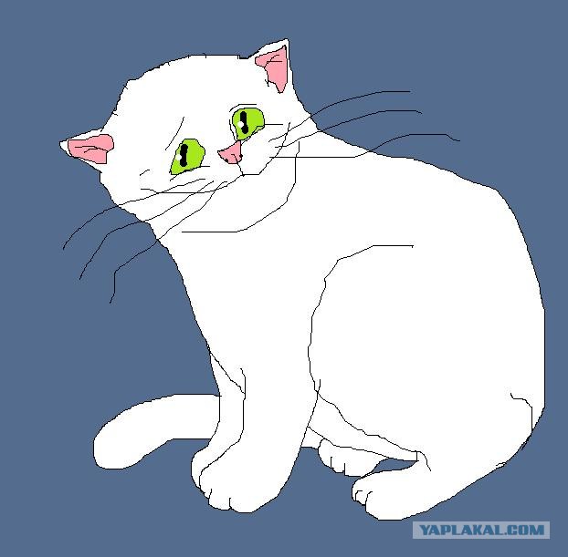Моментальные портреты моих знакомых котов.