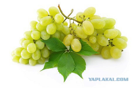 Добряки, плюсующие всех подряд