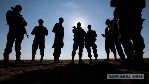 Украинские солдаты продолжают героически сдаваться