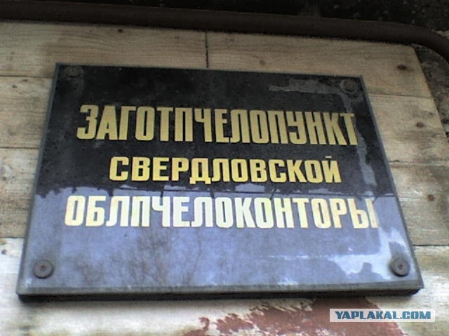 Надписи и объявления с просторов