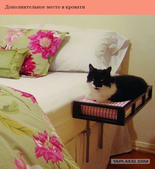 Дизайнерские штуки для котеев