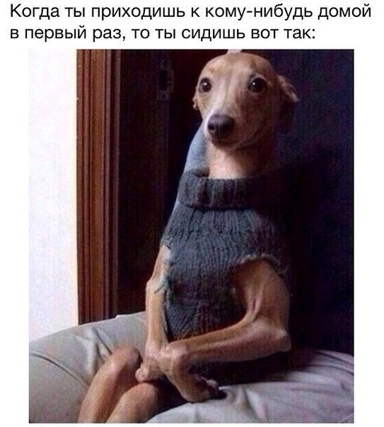 Комментарии из соцсетей, картинки