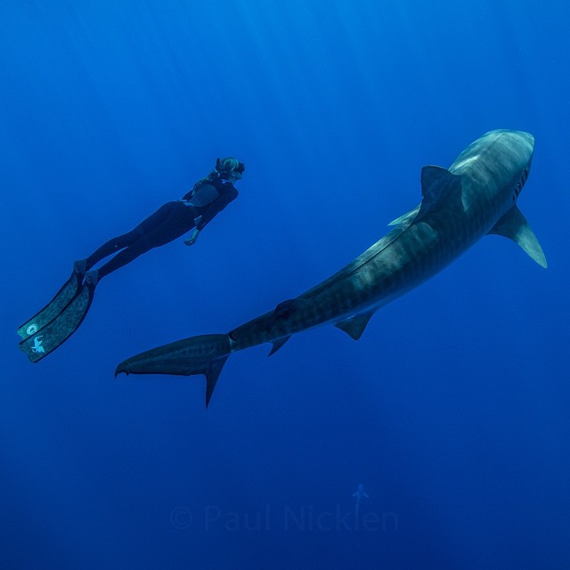 Впечатляющие фотографии National Geographic