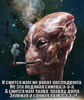 Главная тайна 2015го