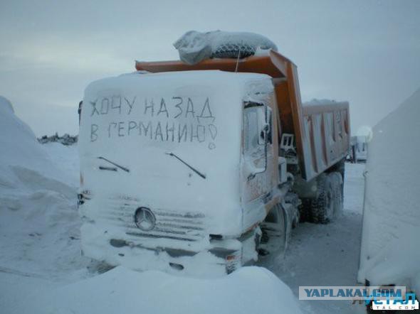 Так..картинки на понедельничек))