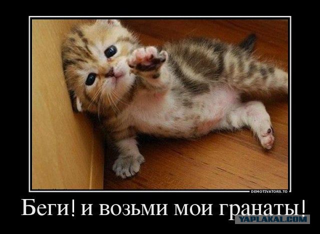 А картинки?