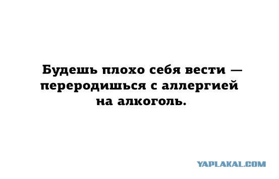 Алкопост.