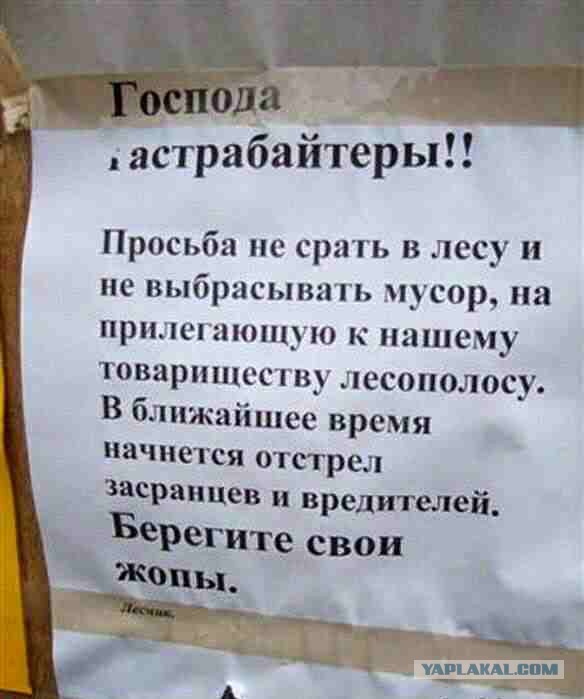 Немножко картинок