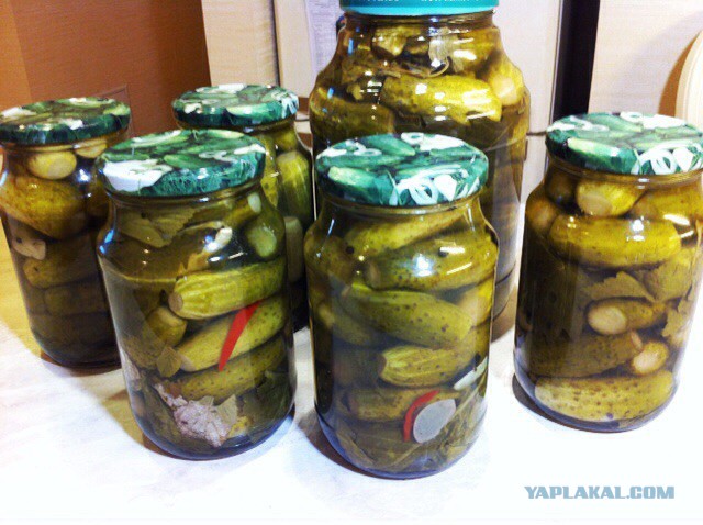 Кухня (кулинарное и околокулинарное общение)