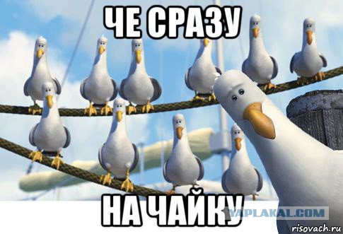 Вот это поворот!