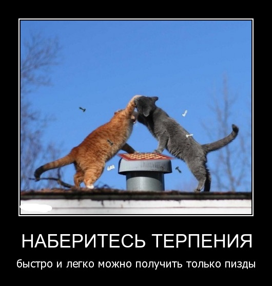 Субботняя подборочка картинок