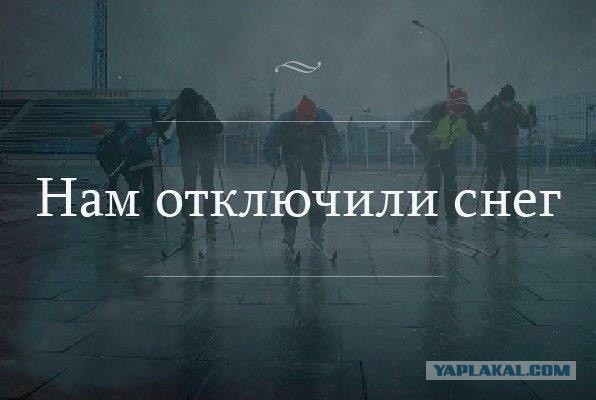 Картинки с надписями
